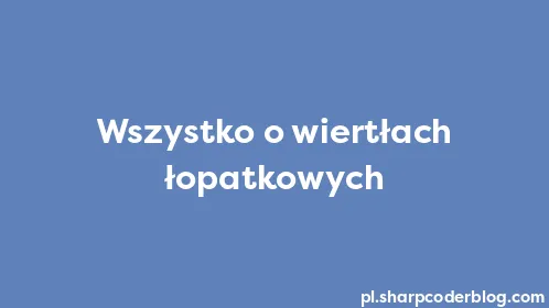 Wszystko o wiertłach łopatkowych - Thumbnail