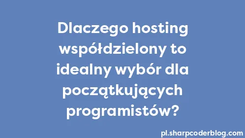 Dlaczego hosting współdzielony to idealny wybór dla początkujących programistów? - Thumbnail